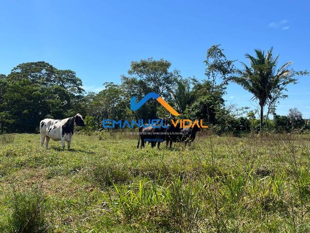 Chácara para Venda em Ariquemes - 5
