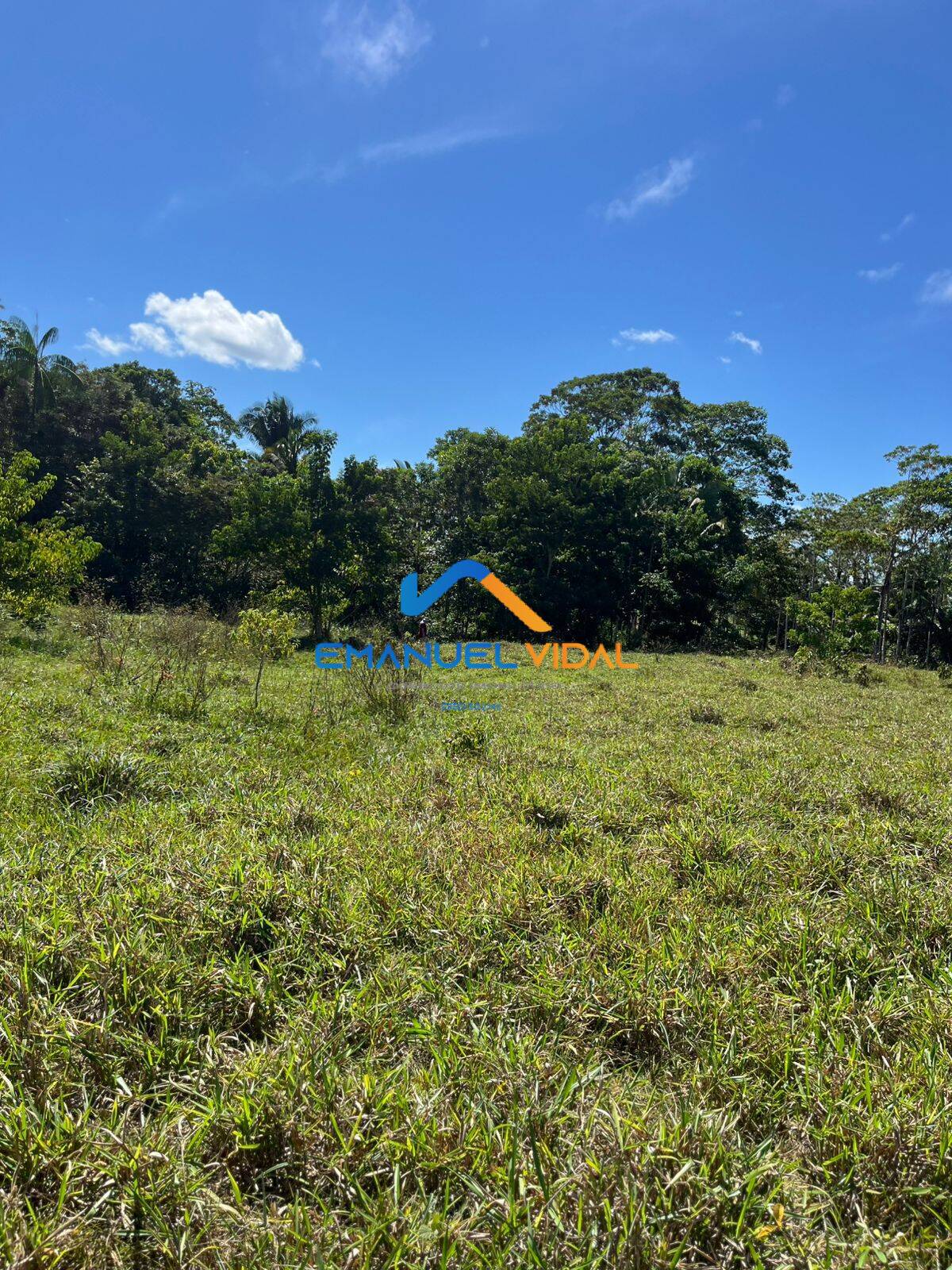Terreno - Foto 10