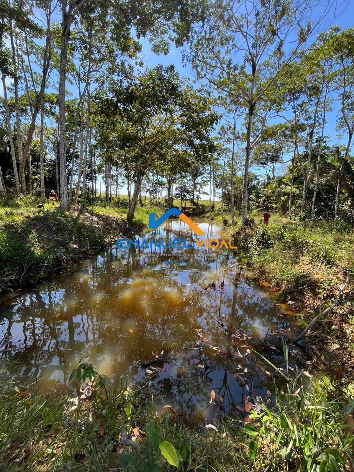 Terreno - Foto 1